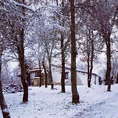 Ovostolai * Fonni