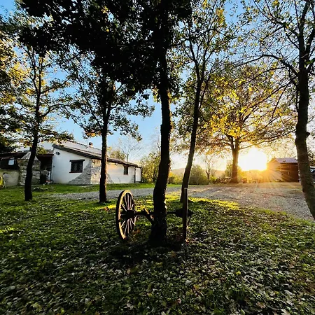 Ovostolai Holiday home Fonni
