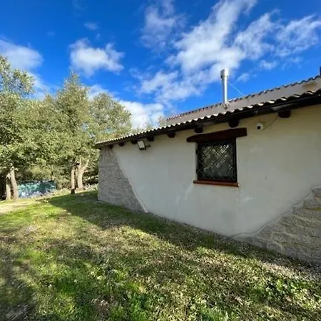 Ovostolai Fonni