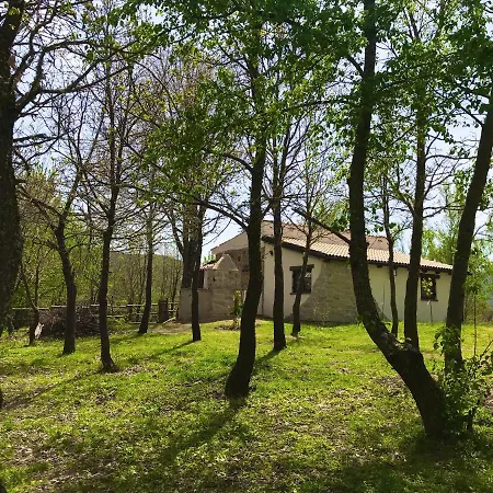 Ovostolai Fonni