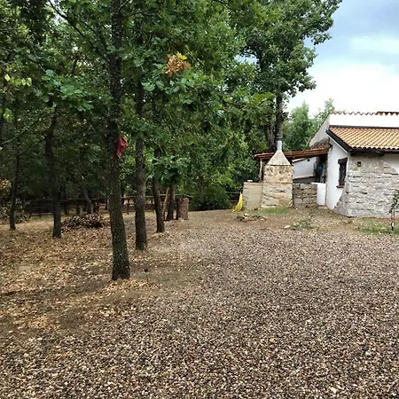 Ovostolai