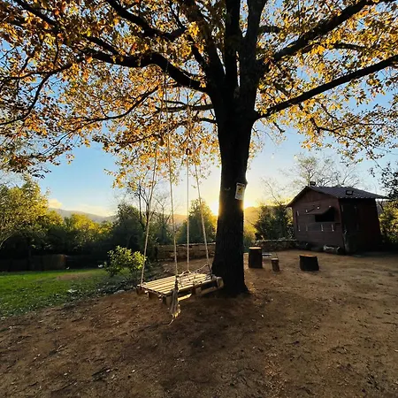 Ovostolai
