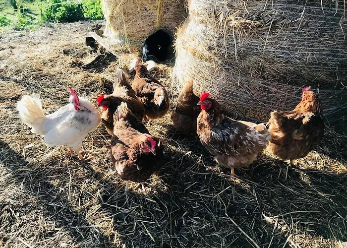 Dom wakacyjny Ovostolai *