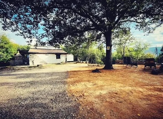 Ovostolai Dom wakacyjny *