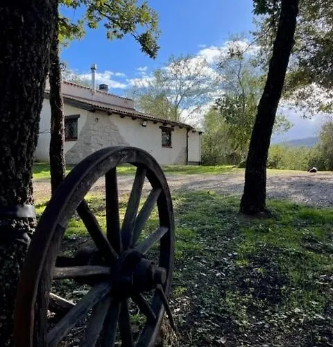 Ovostolai Dom wakacyjny *