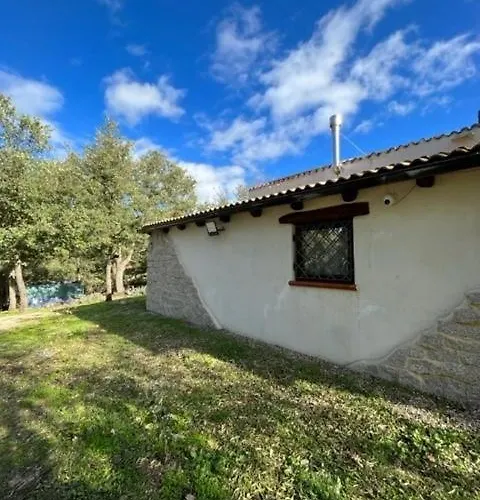 Ovostolai Fonni